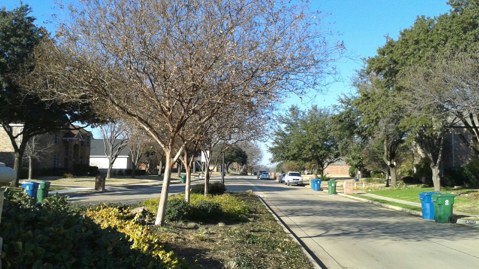 Flower Mound short-term rental